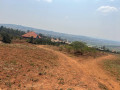 bugesera-residential-plot-for-sale-in-nyamata-small-4