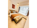 kiyovu-very-nice-luxurious-apartment-for-rent-in-kigali-small-9