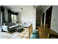nyarutarama-near-mtn-furnished-apartment-for-rent-small-1