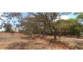 plot-for-sale-in-rusororo-small-2