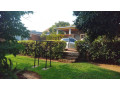 kigali-house-for-sale-in-remera-small-8
