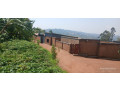 kigali-gasabo-gisasa-plot-for-sale-small-2