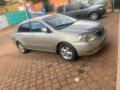 toyota-corolla-small-2