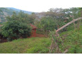 plot-for-sale-in-nyamirambo-mumena-small-9