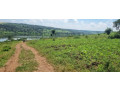 land-for-sale-at-muhazi-rwamagana-small-0