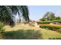 kigali-house-for-rent-in-kimironko-small-2