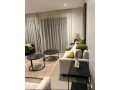 this-is-beautiful-fully-furnished-apartments-rebero-small-8