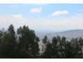 house-with-big-plot-for-sale-in-nyamirambo-kigali-rwanda-view-of-all-town-small-3