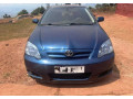 toyota-hatchback-small-1