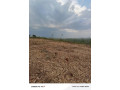 bugesera-plots-for-sale-in-kanzenze-small-5