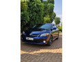 toyota-corolla-small-2