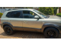 hyundai-tucson-small-1