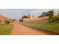 plot-for-sale-in-birembo-small-1