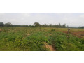 plot-for-sale-in-bugesera-near-airport-hot-deal-small-0