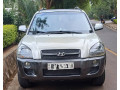 hyundai-tucson-small-2
