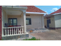 kigali-house-for-sale-in-remera-small-5