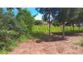 large-plot-for-sale-in-bugesera-small-3