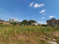 kicukiro-niboyi-residential-plot-for-sale-65million-small-2