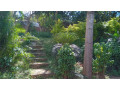 kiyovu-plot-for-sale-small-7