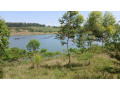 rwamagana-muhazi-land-for-sale-small-2