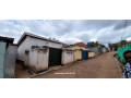 kagugu-small-1