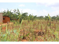 plot-for-sale-in-bugesera-near-airport-hot-deal-small-1