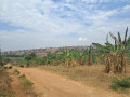 rusororo-small-2