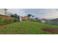 plot-for-sale-kagugu-small-1