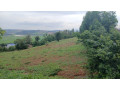 jabana-industial-land-for-sale-small-3