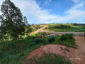 muyange-small-2