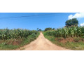 kicukiro-70m-small-2