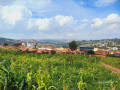 birembo-small-0