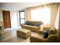 gishushu-near-rdb-bed-2bath-furnished-apartment-for-rent-small-3