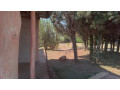 plot-for-sale-in-mt-kigali-small-11