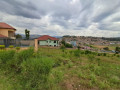 kagugu-small-1