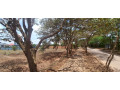 plot-for-sale-in-rusororo-small-0