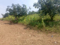 kigali-plot-for-sale-in-kicukiro-small-4