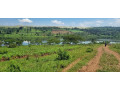 rwamagana-muhazi-plot-for-sale-small-4