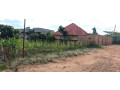 gasogi-cyaruzinge-plot-for-sale-small-7