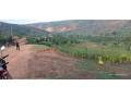 mukuyu-ndera-plot-for-sale-small-2