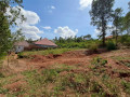 muyange-small-6