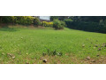 unfurnished-house-available-for-rent-at-kiyovu-small-5