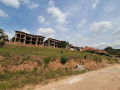 kibagabaga-small-3