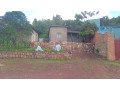 land-for-sale-small-5