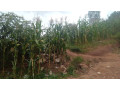kigali-land-for-sale-in-gisozi-small-6