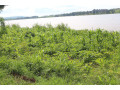 land-for-sale-in-bugesera-near-airport-access-on-lake-small-0
