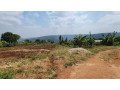 land-for-sale-in-runda-ruyenzi-small-0