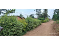 kinyinya-plot-for-sale-small-1
