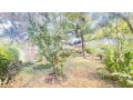 kimihurura-amazing-villa-7bedrooms-spacious-villa-for-sale-at-2b-small-0
