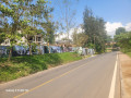 residential-plot-for-sale-near-the-road-and-good-neighbors-small-8